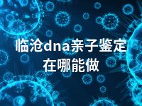 临沧dna亲子鉴定在哪能做