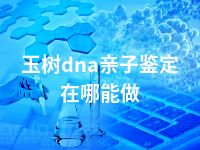 玉树dna亲子鉴定在哪能做