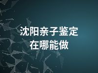 沈阳亲子鉴定在哪能做