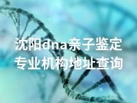 沈阳dna亲子鉴定专业机构地址查询