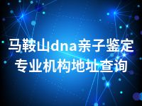 马鞍山dna亲子鉴定专业机构地址查询