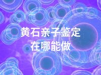 黄石亲子鉴定在哪能做