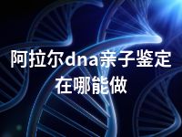 阿拉尔dna亲子鉴定在哪能做