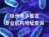 徐州亲子鉴定专业机构地址查询