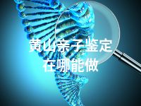 黄山亲子鉴定在哪能做