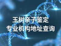 玉树亲子鉴定专业机构地址查询