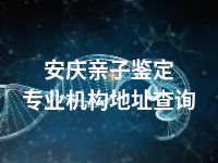 安庆亲子鉴定专业机构地址查询
