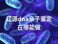 辽源dna亲子鉴定在哪能做