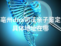 亳州dna司法亲子鉴定具体地址在哪