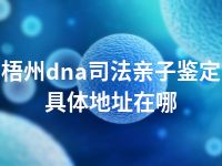 梧州dna司法亲子鉴定具体地址在哪