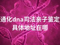 通化dna司法亲子鉴定具体地址在哪