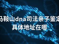 马鞍山dna司法亲子鉴定具体地址在哪