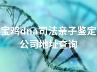 宝鸡dna司法亲子鉴定公司地址查询