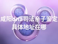 咸阳dna司法亲子鉴定具体地址在哪