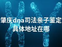 肇庆dna司法亲子鉴定具体地址在哪
