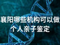 襄阳哪些机构可以做个人亲子鉴定