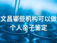 文昌哪些机构可以做个人亲子鉴定