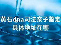黄石dna司法亲子鉴定具体地址在哪