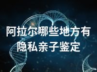 阿拉尔哪些地方有隐私亲子鉴定