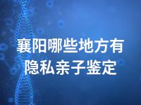 襄阳哪些地方有隐私亲子鉴定