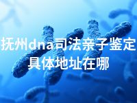 抚州dna司法亲子鉴定具体地址在哪