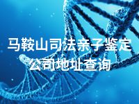马鞍山司法亲子鉴定公司地址查询