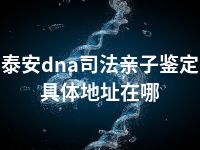 泰安dna司法亲子鉴定具体地址在哪