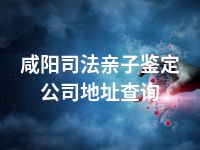 咸阳司法亲子鉴定公司地址查询