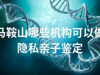 马鞍山哪些机构可以做隐私亲子鉴定