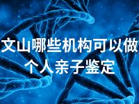 文山哪些机构可以做个人亲子鉴定