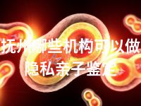 抚州哪些机构可以做隐私亲子鉴定