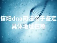 信阳dna司法亲子鉴定具体地址在哪