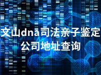 文山dna司法亲子鉴定公司地址查询