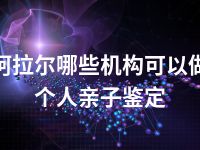 阿拉尔哪些机构可以做个人亲子鉴定