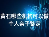 黄石哪些机构可以做个人亲子鉴定