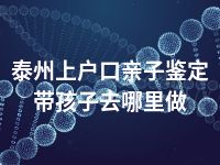 泰州上户口亲子鉴定带孩子去哪里做