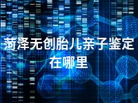 菏泽无创胎儿亲子鉴定在哪里