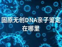 固原无创DNA亲子鉴定在哪里