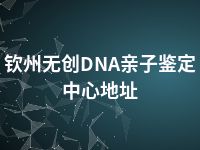 钦州无创DNA亲子鉴定中心地址