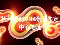 抚州无创DNA亲子鉴定中心地址