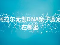 阿拉尔无创DNA亲子鉴定在哪里