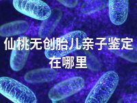 仙桃无创胎儿亲子鉴定在哪里