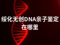 绥化无创DNA亲子鉴定在哪里