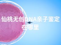 仙桃无创DNA亲子鉴定在哪里