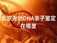 北京无创DNA亲子鉴定在哪里