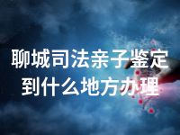 聊城司法亲子鉴定到什么地方办理
