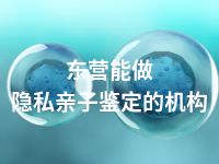 东营能做隐私亲子鉴定的机构