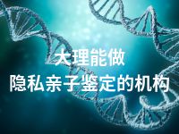 大理能做隐私亲子鉴定的机构