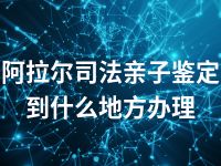 阿拉尔司法亲子鉴定到什么地方办理
