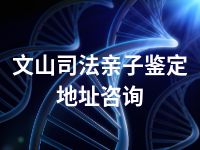 文山司法亲子鉴定地址咨询
